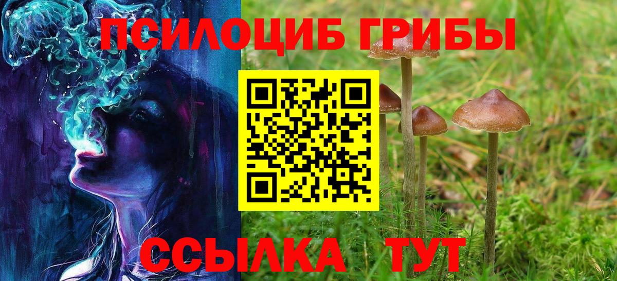 Дедовск  Галлюциногенные грибы GOLDEN TEACHER  Галлюциногенные грибы мицелий  Вход с VPN 