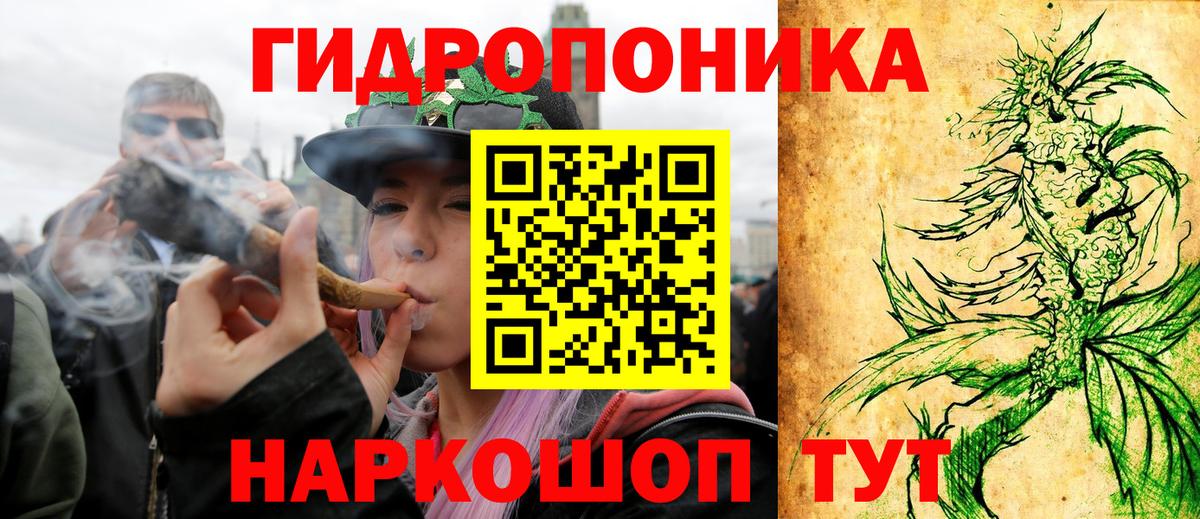 Шишки марихуана OG Kush Дедовск